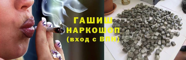 PSILOCYBIN Белокуриха