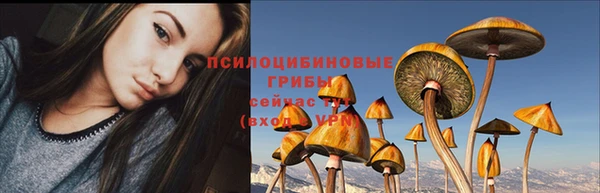 герыч Богородицк