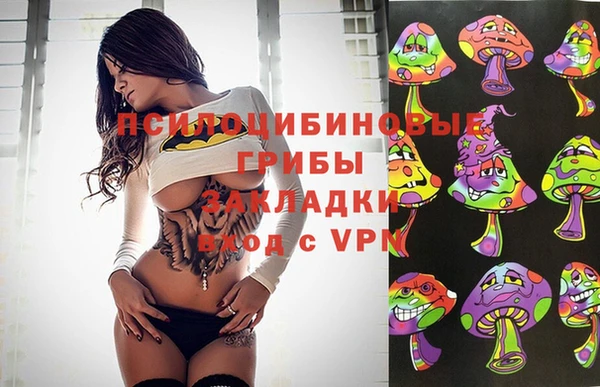 apvp Богородск
