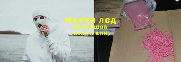 PSILOCYBIN Белокуриха