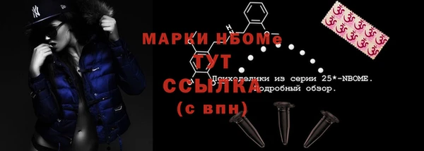 PSILOCYBIN Белокуриха